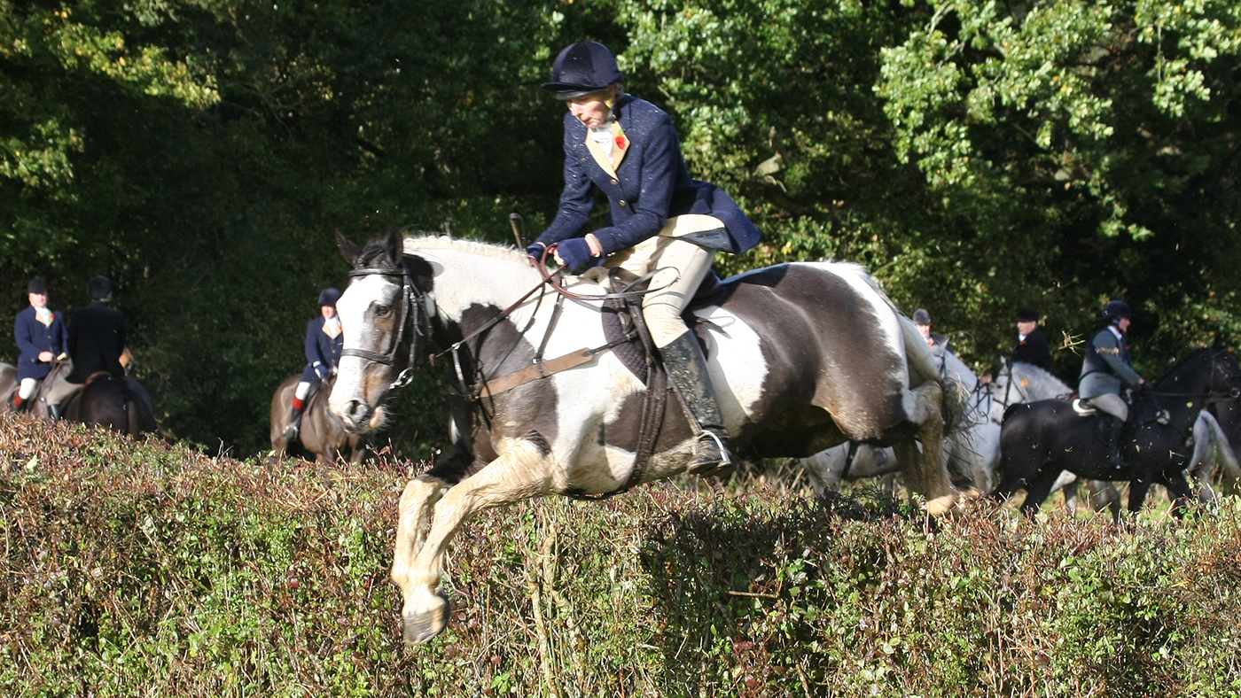 Jane Tuckwell the one of the hedge I am sure was November 2013 at Widleys
