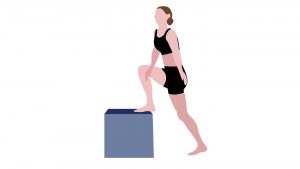 exercises to strengthen horse riding muscles