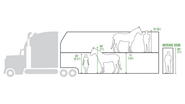 United States double-deck horse trailers Animal Welfare Institute