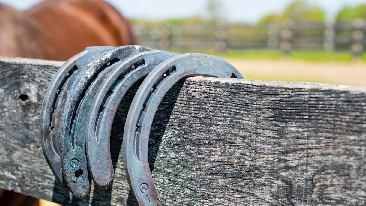 Shoes and shoeing Horse & Hound