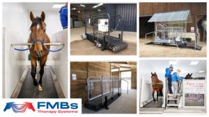 FMBS Collage_Treadmills_Dry