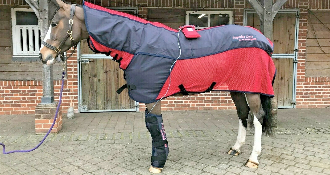Contender-Rug