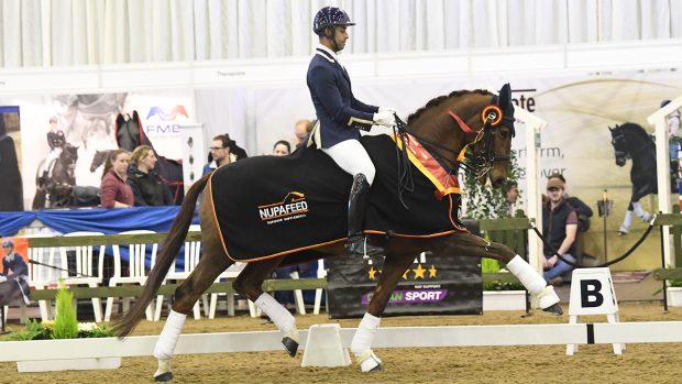 DANNIE MORGAN - KNOXX'S FIGARO