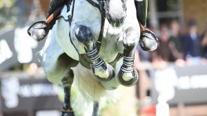 How to watch the World Showjumping Championships Library image.