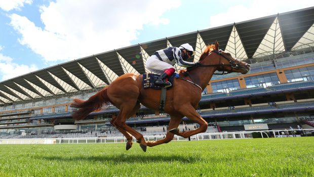 How to watch Royal Ascot on TV Alpine Star ridden by Frankie Dettori wins the Coronation Stakesduring day five of Royal Ascot at Ascot Racecourse.