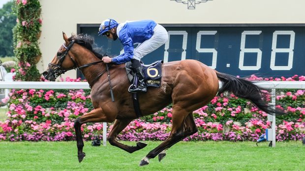 Lord North, ridden by James Doyle