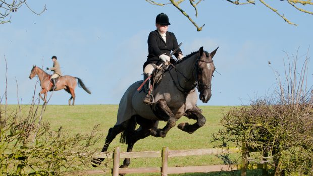 Miss Catherine Austen. The Cottesmore Hunt at Launde, Rutland, 18/1/2011