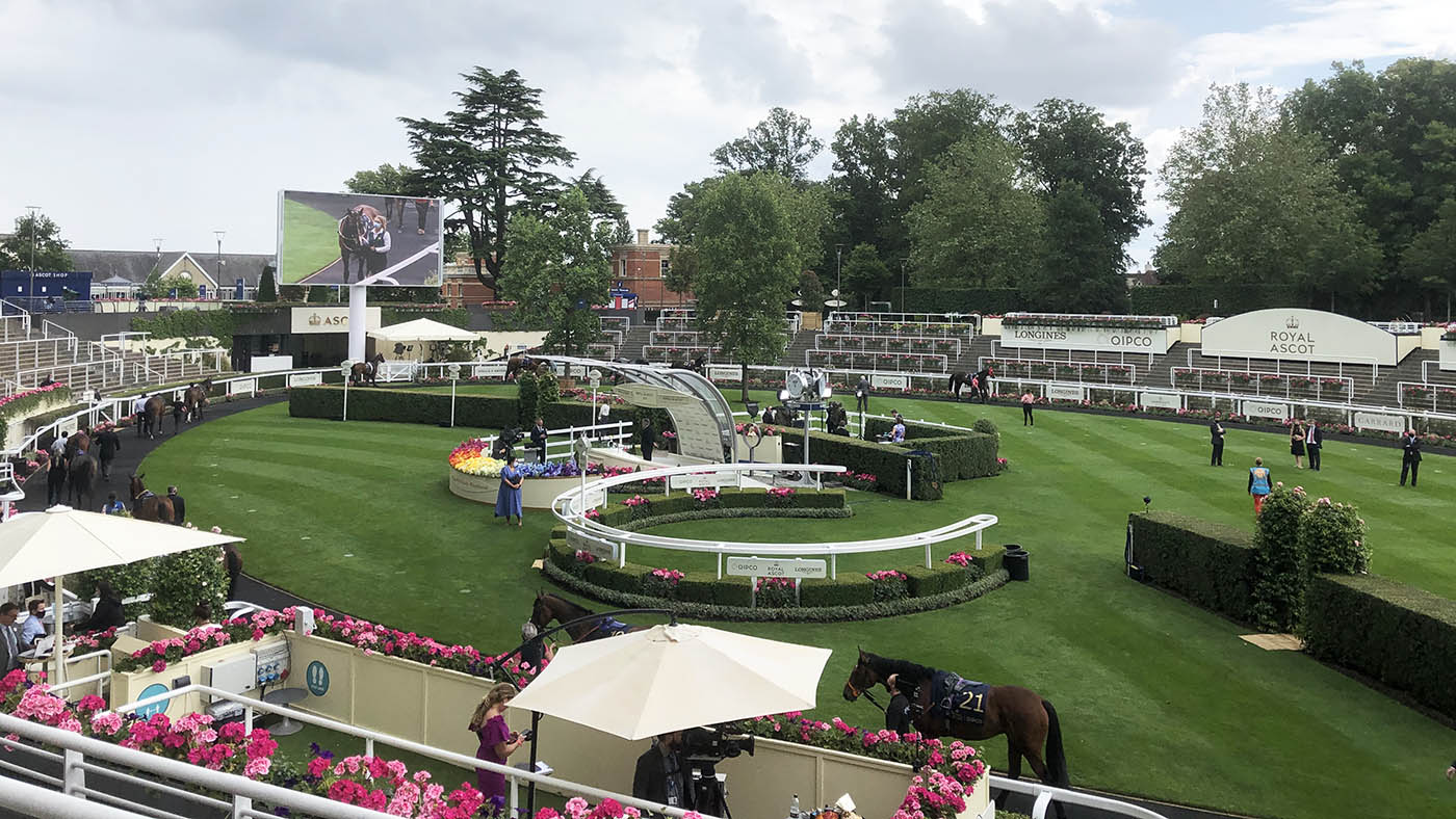 Behind The Scenes At Royal Ascot All The Colour With Virtually No Noise Horse Hound