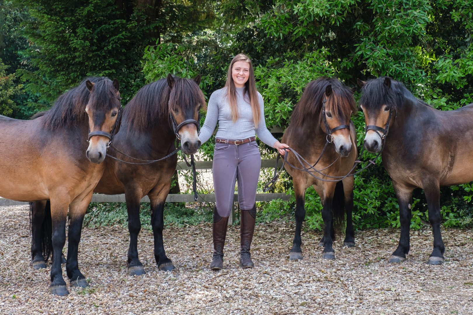 33 Exmoor ponies proving that they can turn their hoof to anything