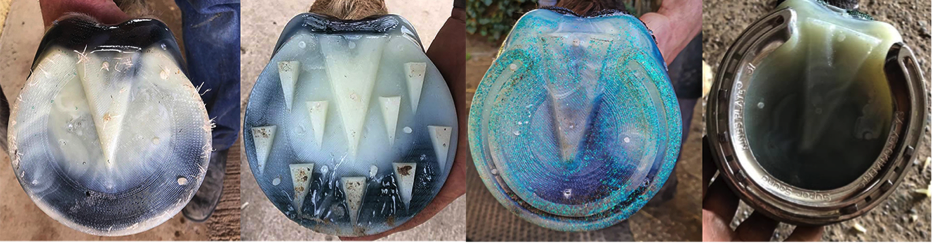 FormaHoof Moulds