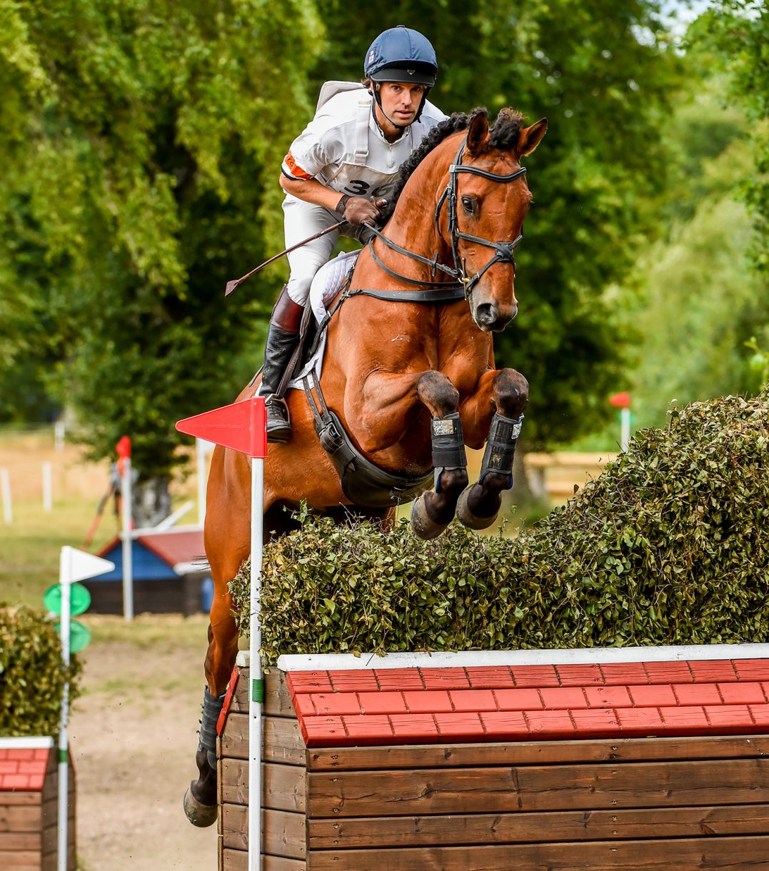 A dun five-star horse, a British champion and an Event Rider Masters ...