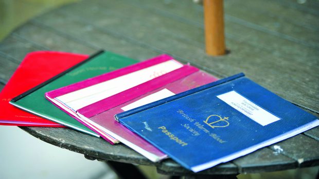 equine passports