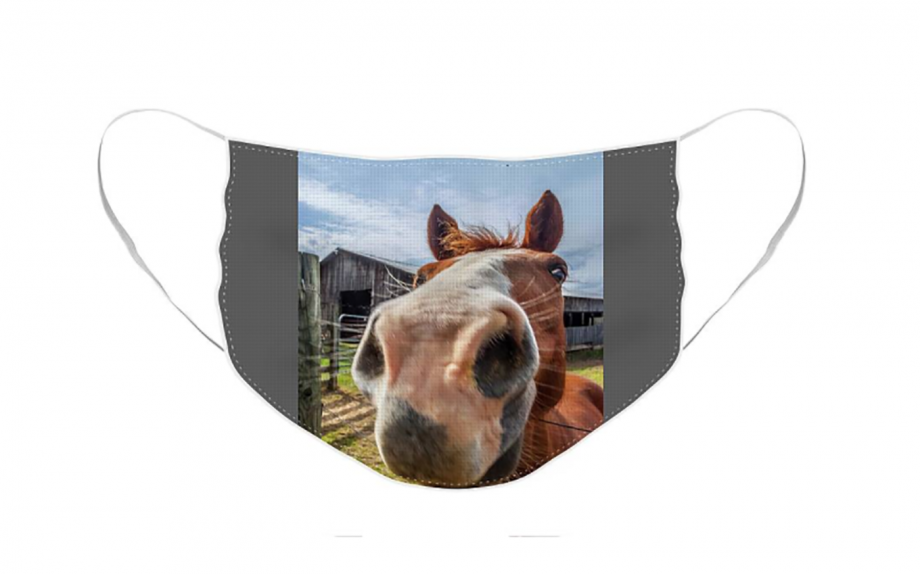5 horsethemed face masks which are perfect for equestrians Horse & Hound