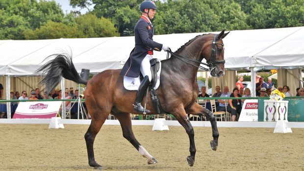 Spencer Wilton riding Super Nova II at Dressage at Hickstead