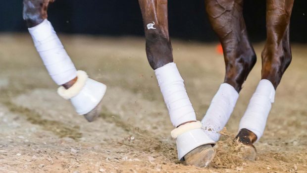 New FEI Covid rules prize-giving, media, vets