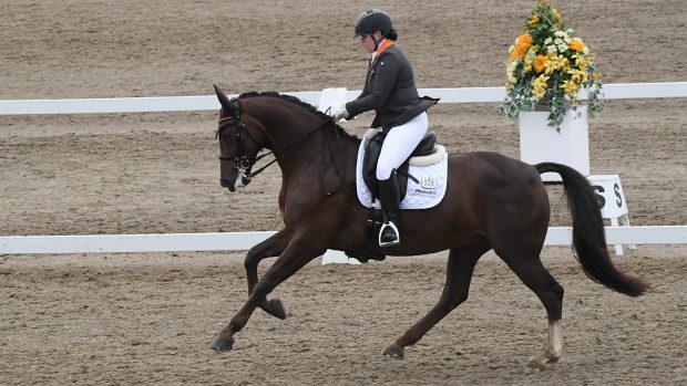 Alice Oppenheimer on Headmore Bella Ruby at the Winter Dressage Championships 2020