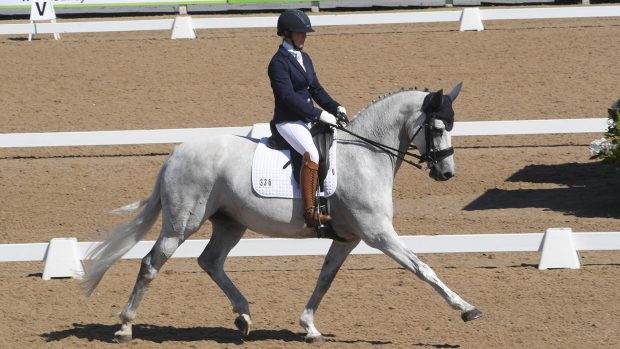Claire Knowles rides Corona S to medium gold freestyle glory at the Winter Dressage Championships 2020