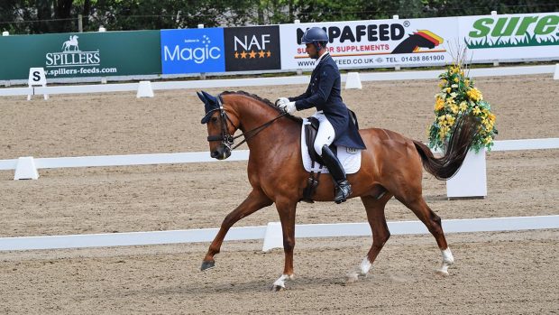 Dannie Morgan and Knoxx's Figaro, winners of the inter I at the Winter Dressage Championships 2020