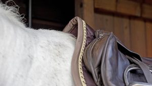 Equestrian Stockholm saddle pad review