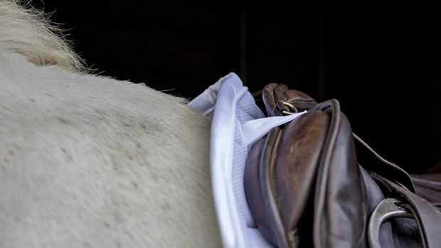 Eskadron 3D mesh compact saddle pad review