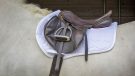 Eskadron 3D mesh compact saddle pad review