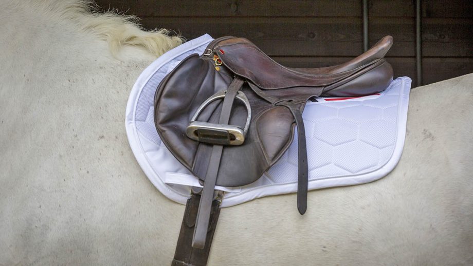 Eskadron 3D mesh compact saddle pad review