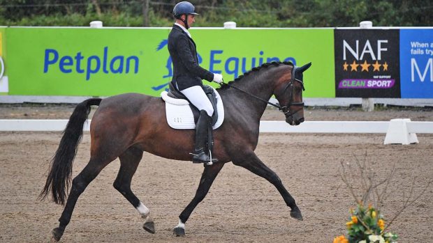 Gareth Bulley and Lorentina win the novice silver at the Winter Dressage Championships 2020