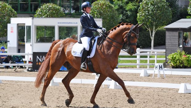Georgia Davis rides Keystone Diego to advanced medium silver glory at the Winter Dressage Championships 2020