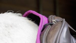 HyWither Sport Active GP saddle pad review