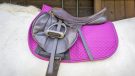 HyWither Sport Active GP saddle pad review