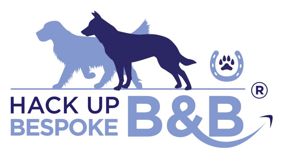 Hack-Up-Bespoke-Logo