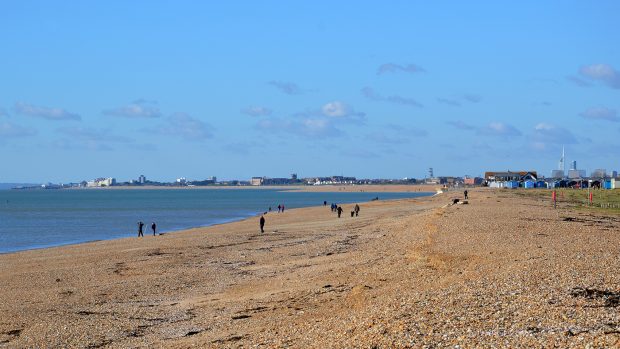 hayling beach horse riding ban concerns