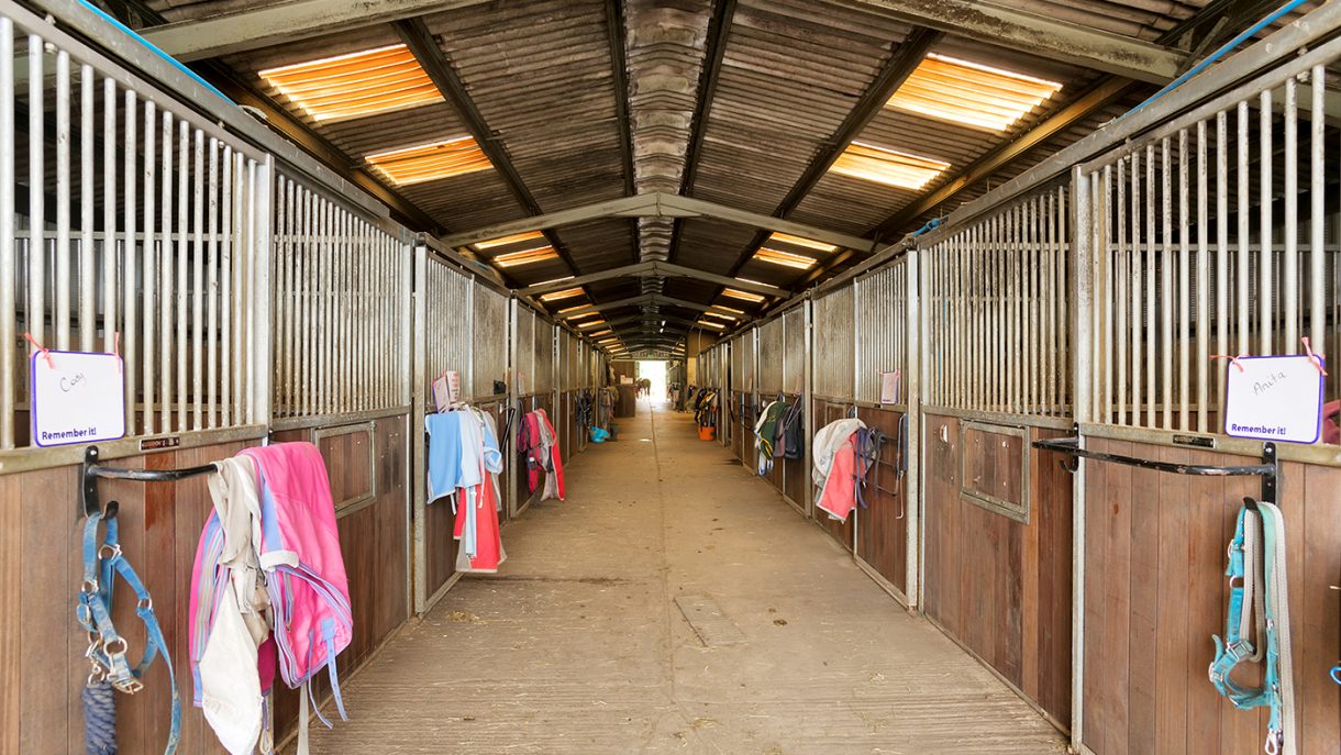 How about living here? Complete with 64 stables, a solarium, indoor and ...