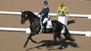 Jezz Palmer rides King IV to novice gold freestyle victory at the Winter Dressage Championships 2020 - they have been selected for the FEI World Breeding Federation Dressage Championships for Young Horses