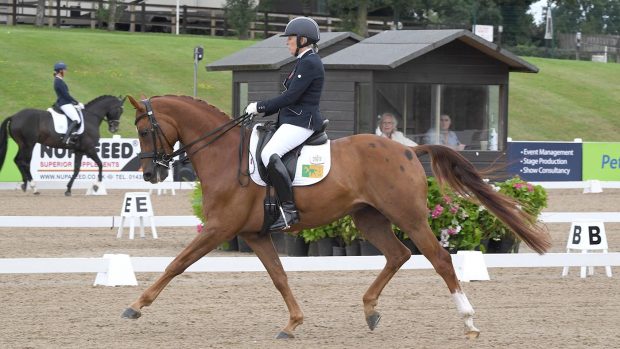 Judy Harvey and SP Bento win the elementary gold at the Winter Dressage Championships 2020