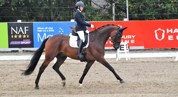 Maeve Morris and Headmore Footloose share elementary silver glory at the Winter Dressage Championships 2020