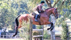 Louise Lyons and MJM Laszlo (1342), heavyweight working hunter winner and champion