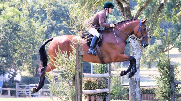 Louise Lyons and MJM Laszlo (1342), heavyweight working hunter winner and champion
