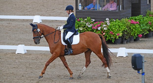 Lynn Wickes and Pauldarys Tiger Two Socks win the elementary silver freestyle at the Winter Dressage Championships 2020