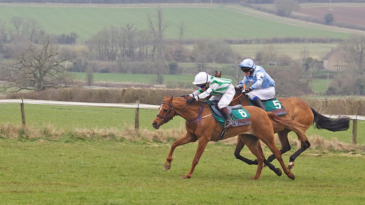 Pony Racing Horse & Hound