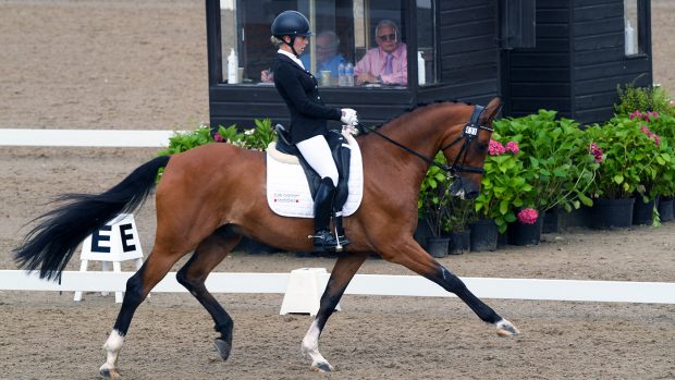 Victoria Maw rides Benito Dorato to elementary gold freestyle victory at the Winter Dressage Championships 2020