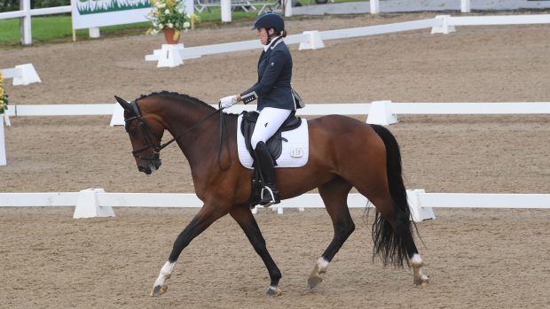 Lauren Williamson and Vancouver LG on their way to winning the freestyle novice silver at the Winter Dressage Championships 2020 at Hartpury