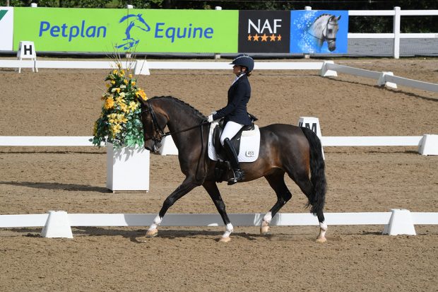Camille Peters and SL Lucci win the medium silver freestyle at the Winter Dressage Championships at Hartpury