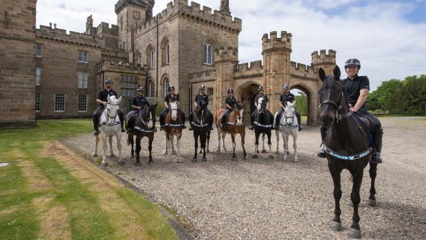 Northumbria mounted police