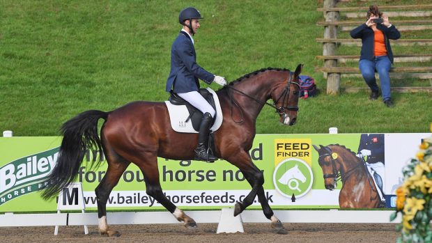 Owen Davies and Bali Sd win the prelim title at the Winter Dressage Championships 2020
