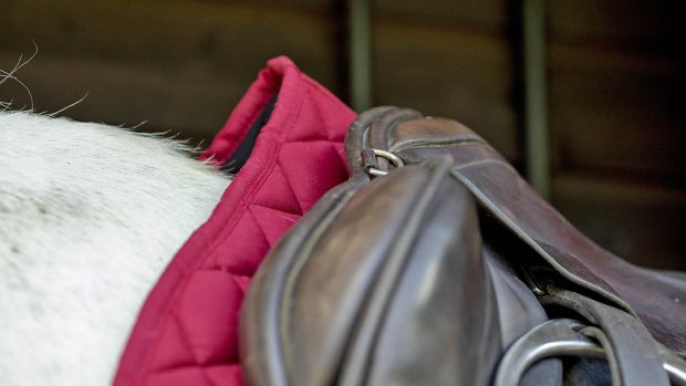 SXC high-rise silicone saddle pad review