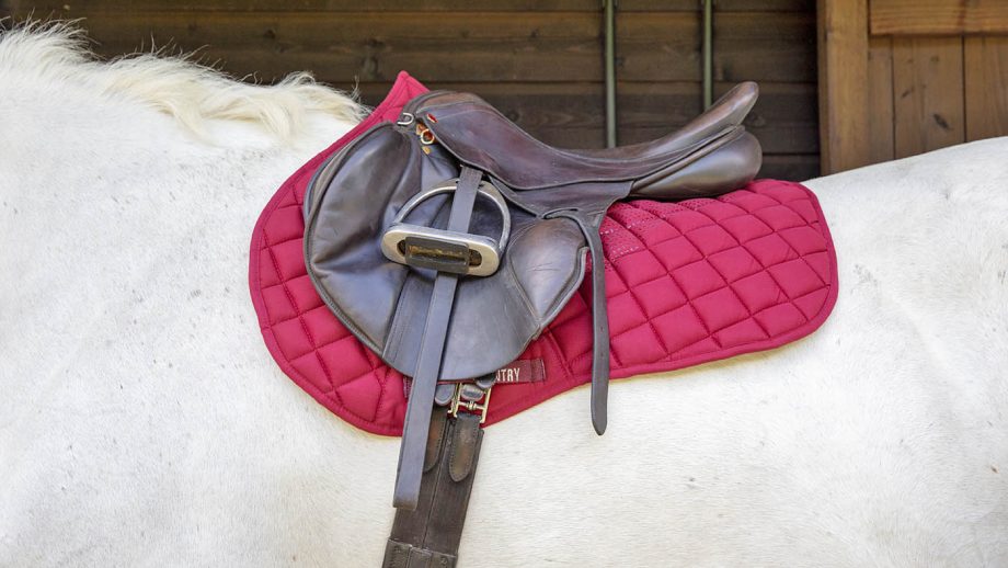 SXC high-rise silicone saddle pad review