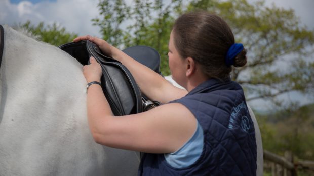 Hartpury has joined forces with the Society of Master Saddlers, the Worshipful Company of Loriners and the Worshipful Company of Saddlers in the interest of training, education and research into horse-human interactions and partnerships