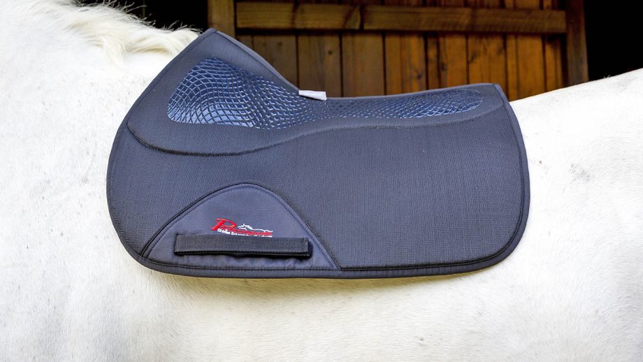 Shires Performance Air Motion Pro saddlecloth review