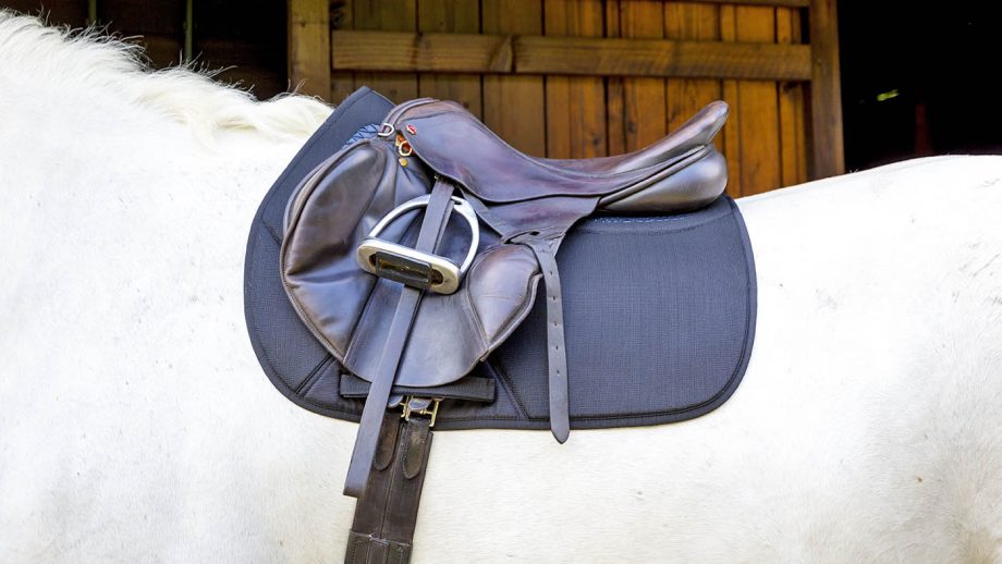 Shires Performance Air Motion Pro saddlecloth review